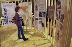 Ta veseli dan kulture